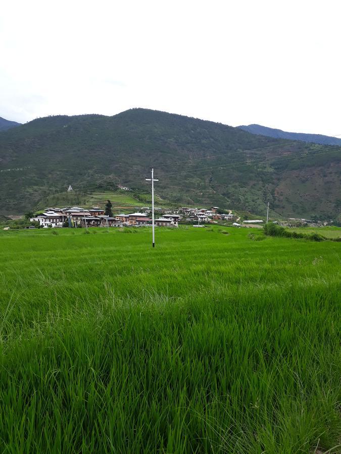 Chimi Lhakhang Village Homestay 푸나카 외부 사진